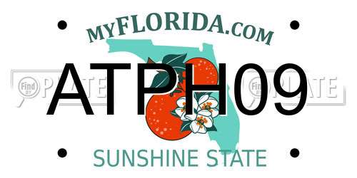 ATPH09 Florida License Plate
