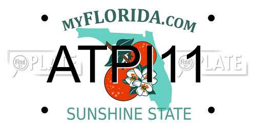 ATPI11 Florida License Plate