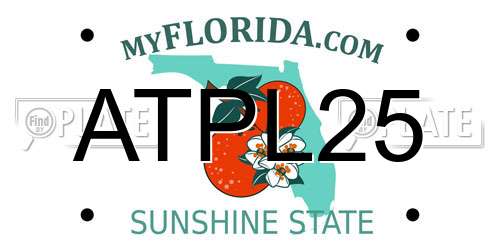 ATPL25 Florida License Plate