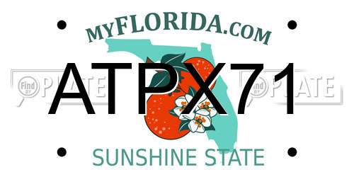 ATPX71 Florida License Plate