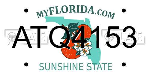 ATQ4153 Florida License Plate