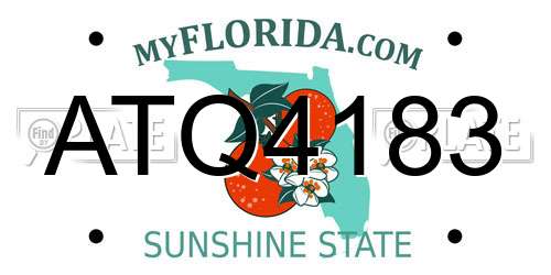 ATQ4183 Florida License Plate