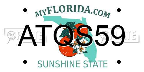 ATQS59 Florida License Plate