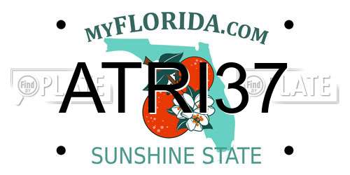 ATRI37 Florida License Plate
