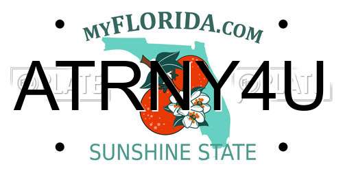 ATRNY4U Florida License Plate