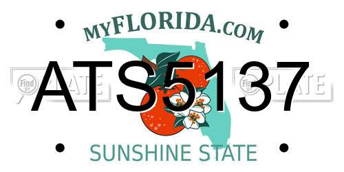 ATS5137 Florida License Plate