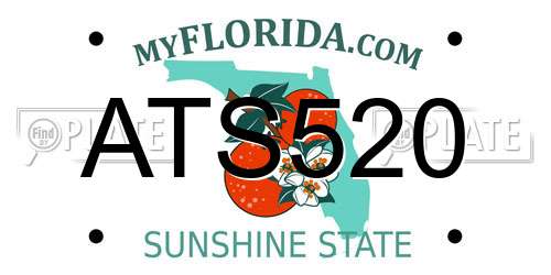ATS520 Florida License Plate