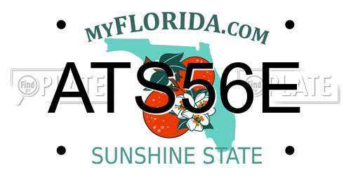 ATS56E Florida License Plate
