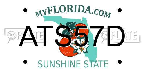ATS57D Florida License Plate
