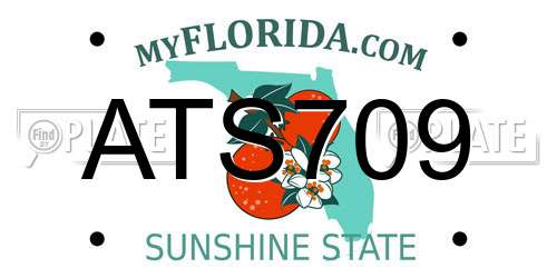 ATS709 Florida License Plate