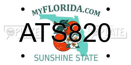 ATS820 Florida License Plate