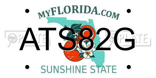 ATS82G Florida License Plate