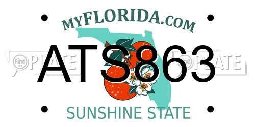 ATS863 Florida License Plate