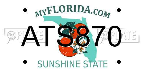 ATS870 Florida License Plate
