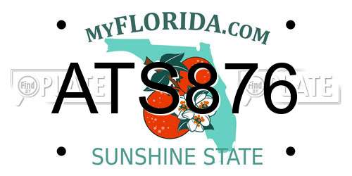 ATS876 Florida License Plate