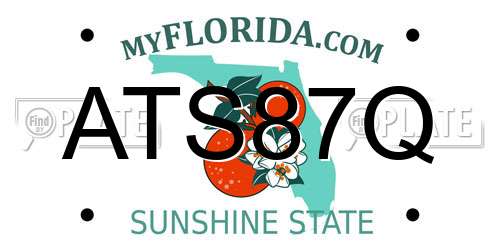 ATS87Q Florida License Plate