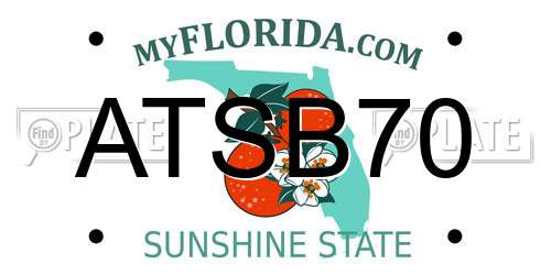 ATSB70 Florida License Plate