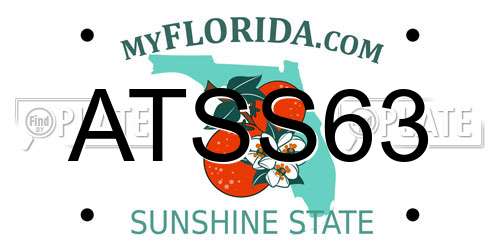 ATSS63 Florida License Plate