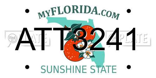 ATT3241 Florida License Plate
