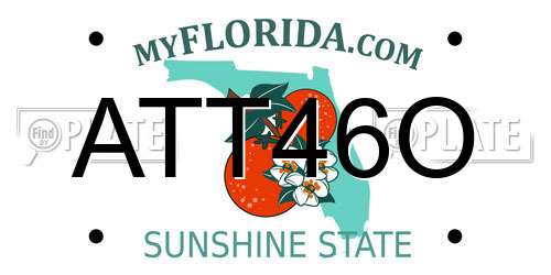 ATT46O Florida License Plate
