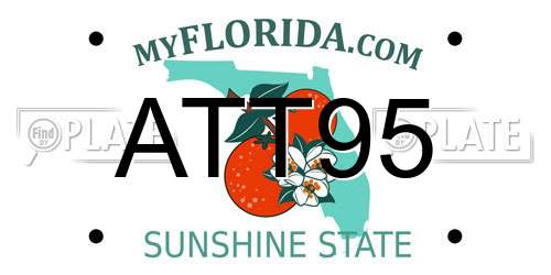 ATT95 Florida License Plate