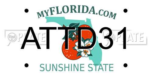 ATTD31 Florida License Plate