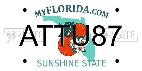 ATTU87 Florida License Plate
