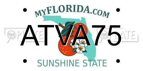 ATVA75 Florida License Plate