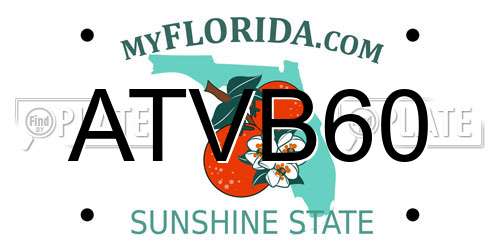 ATVB60 Florida License Plate