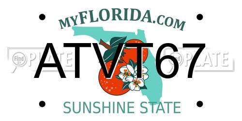 ATVT67 Florida License Plate