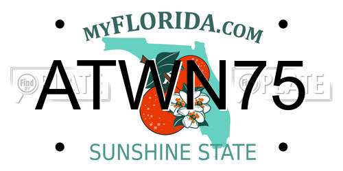 ATWN75 Florida License Plate