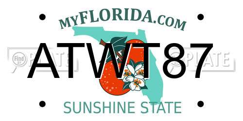 ATWT87 Florida License Plate