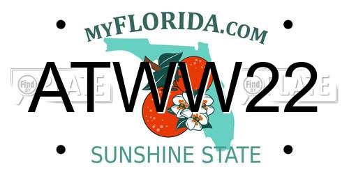 ATWW22 Florida License Plate
