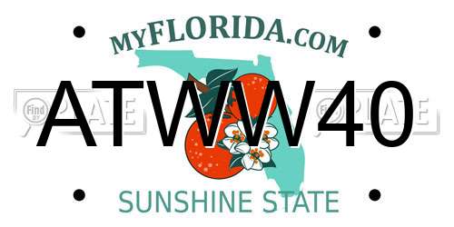 ATWW40 Florida License Plate