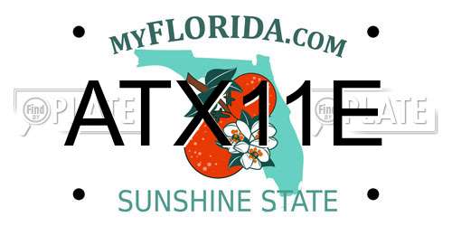 ATX11E Florida License Plate