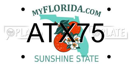 ATX75 Florida License Plate
