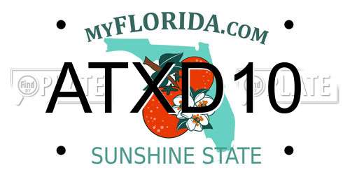 ATXD10 Florida License Plate