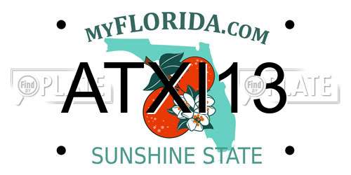 ATXI13 Florida License Plate
