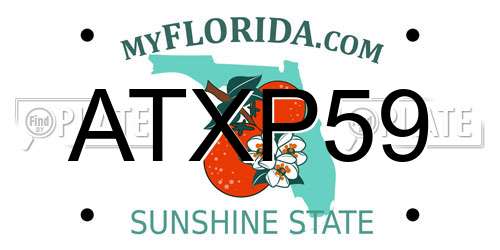 ATXP59 Florida License Plate
