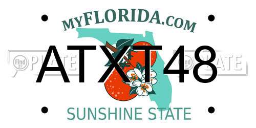 ATXT48 Florida License Plate