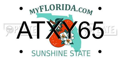 ATXY65 Florida License Plate
