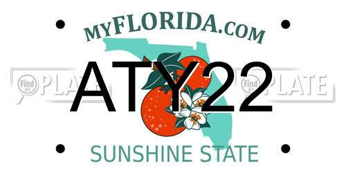 ATY22 Florida License Plate