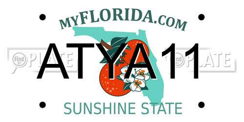 ATYA11 Florida License Plate