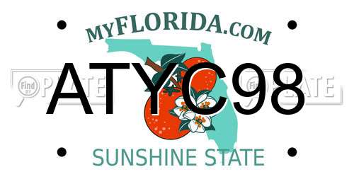ATYC98 Florida License Plate