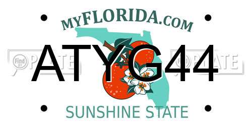 ATYG44 Florida License Plate