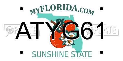 ATYG61 Florida License Plate