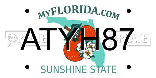 ATYH87 Florida License Plate