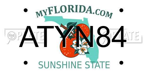 ATYN84 Florida License Plate