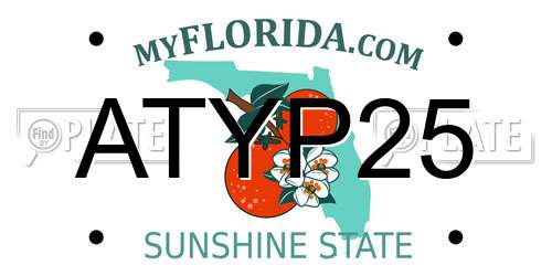 ATYP25 Florida License Plate
