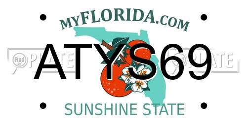 ATYS69 Florida License Plate